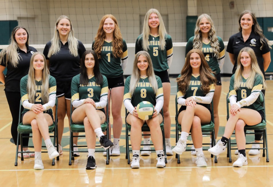 Volleyball Sweeps Niagara in Three Sets